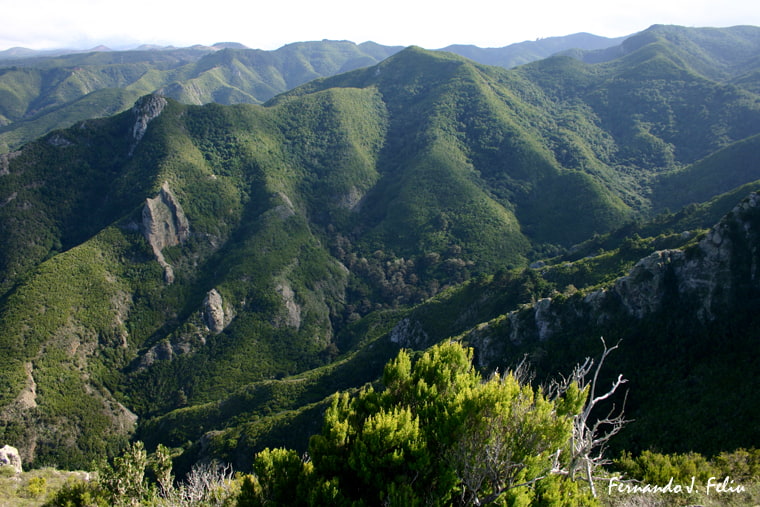 Del Monte del Agua a Talavera y los Silos: Salida que haremos el domingo 16 de junio a recorrer y disfrutar de los impresionantes que nos depara esta ruta dentro del Parque Rural de Teno
