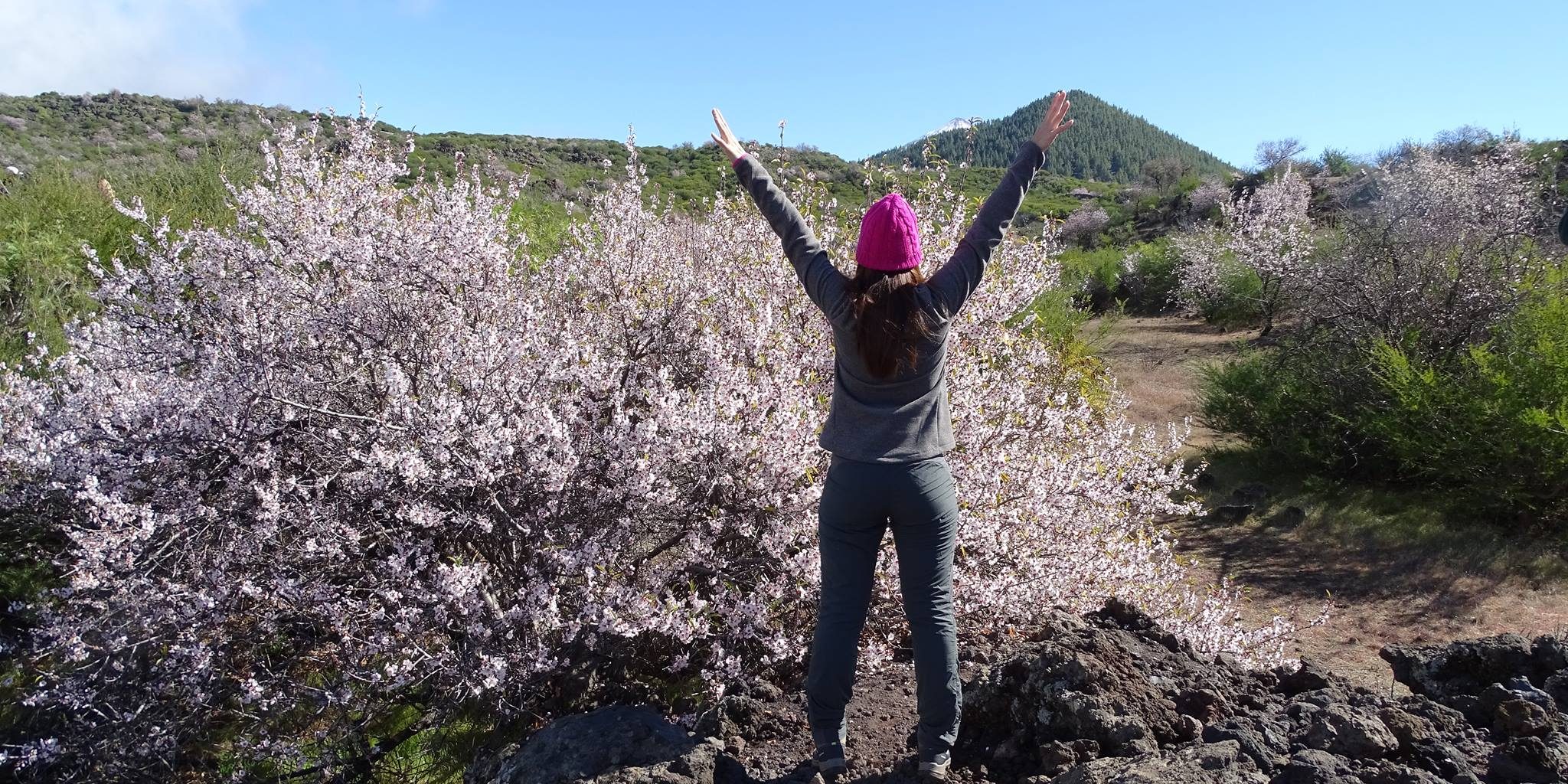 51119259_2046476895418743_7482131688772861952_o