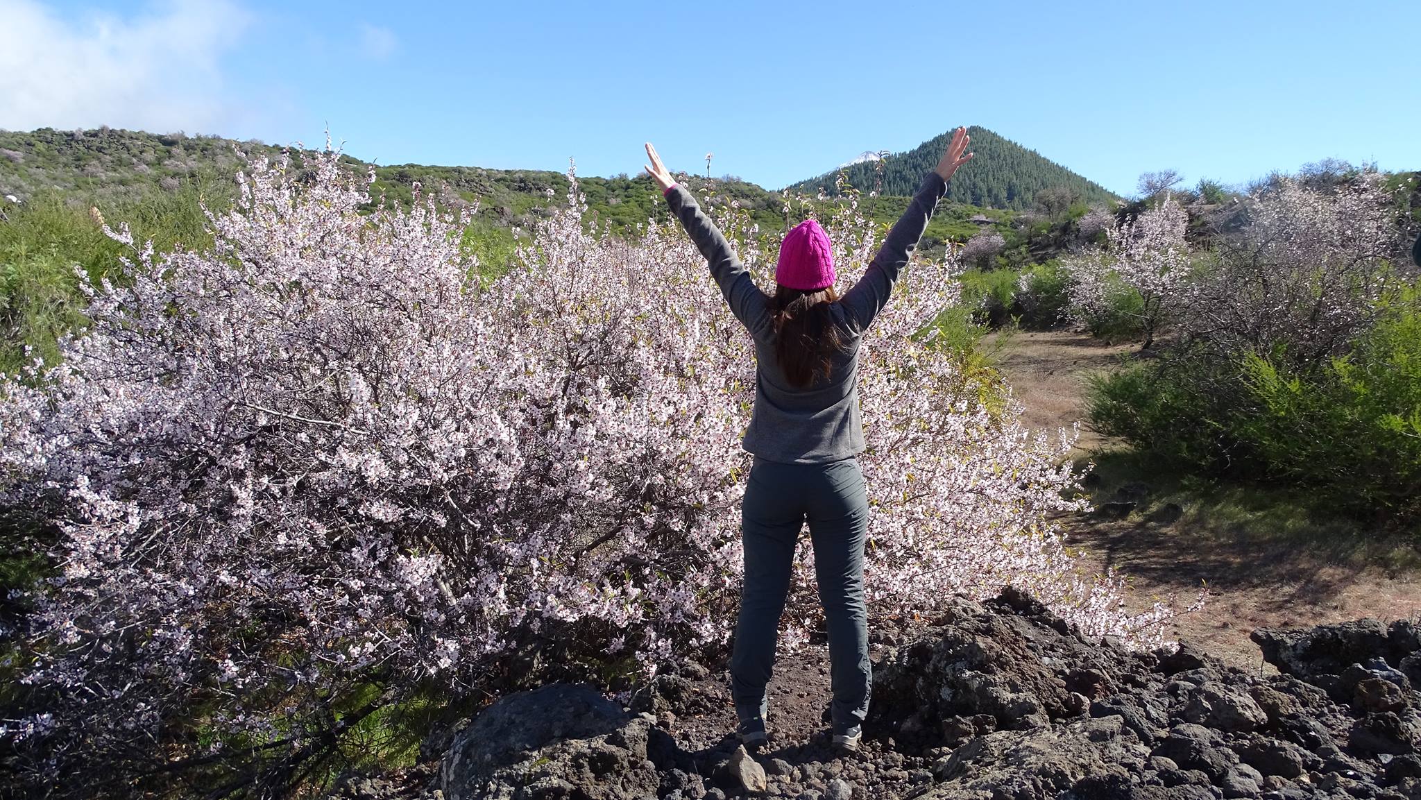 51119259_2046476895418743_7482131688772861952_o