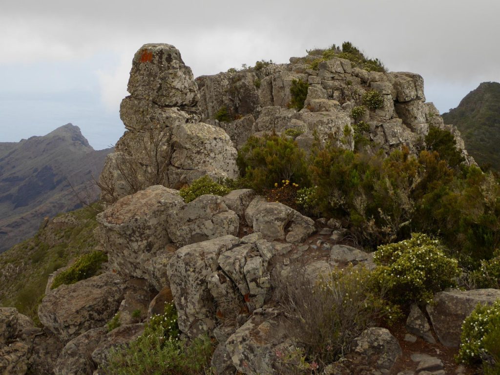 Ruta de sendersimo en Tenerife en Teno