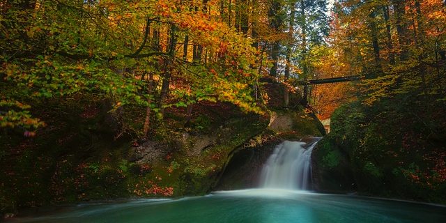 Naturaleza medicina naturaleza medicina recetada por meidocs en Escocia