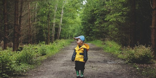 senderismo con niños en tenerife rutas de senderismo en tenerife