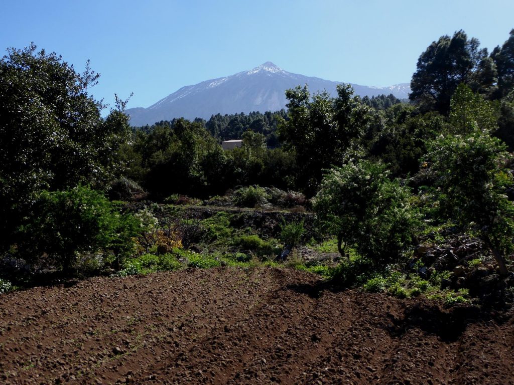 ruta de senderismo en tenerife