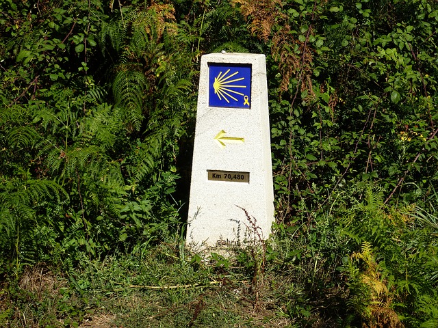 peregrinacion camino de santiago