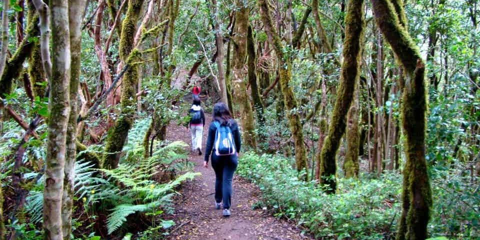 motivos para hacer senderismo