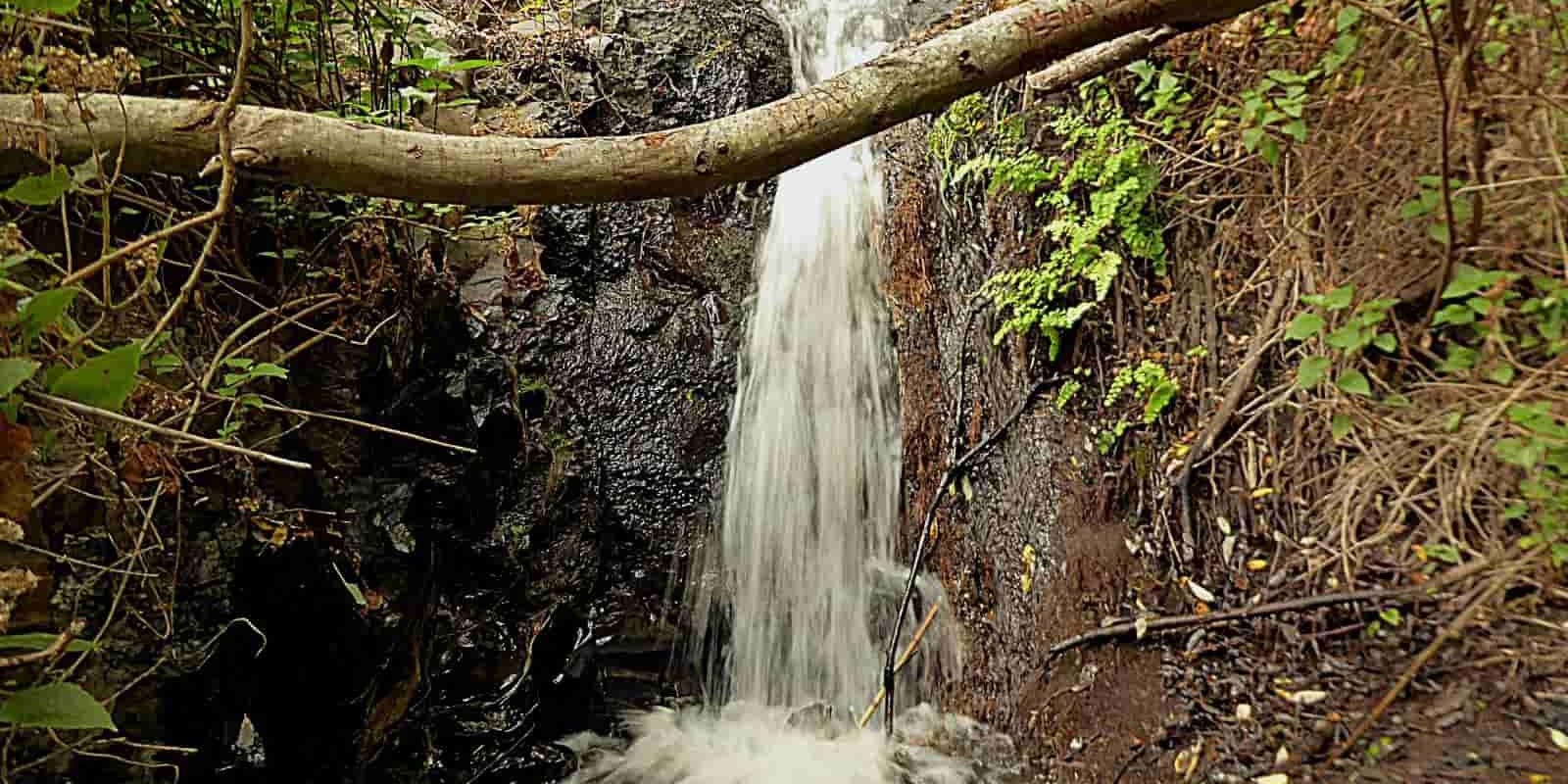 barranco de los cernicalos-min tuta barranco de los cernicalos