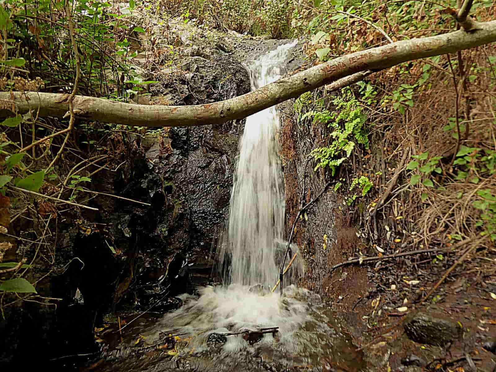 tuta barranco de los cernicalos