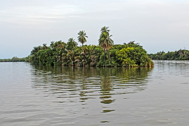 safari en gambia