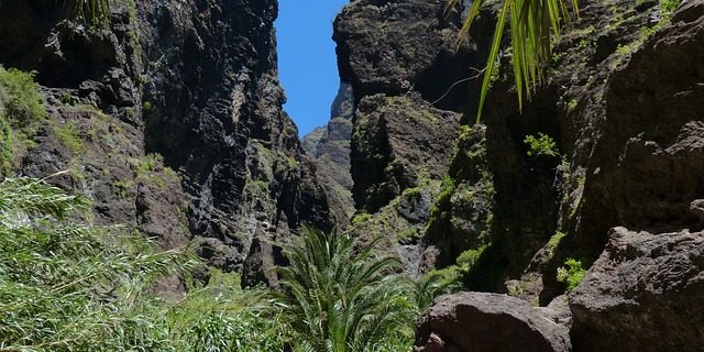 barranco de masca se reabrirá el barranco de masca