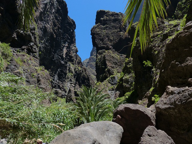 barranco de masca se reabrirá el barranco de masca