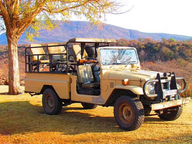 safari en gambia