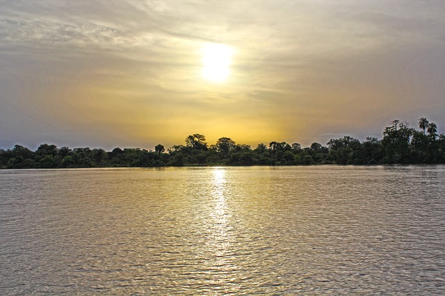 safari en gambia