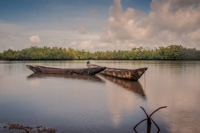 Safari en gambia