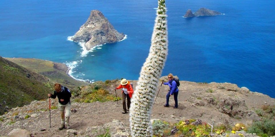 anaga senderismo en anaga