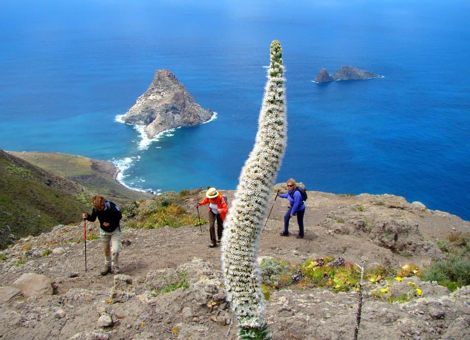 anaga senderismo en anaga