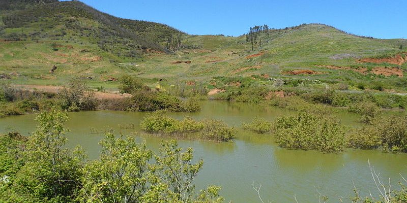 Charcas de erjos wilkipedia