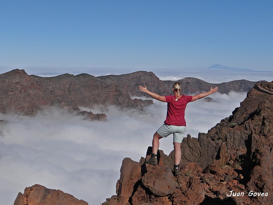 ruta de senderismo tajinastes rosados de la palma