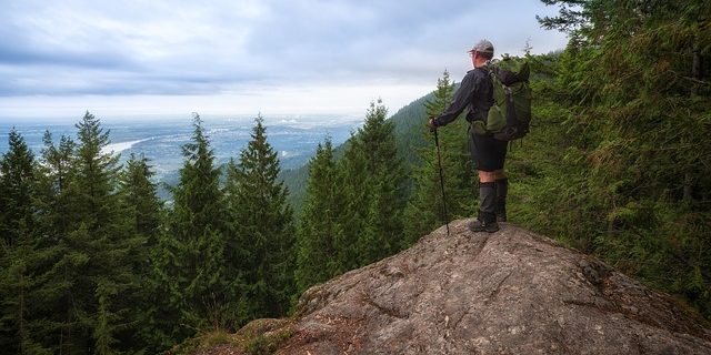 bastones de senderismo