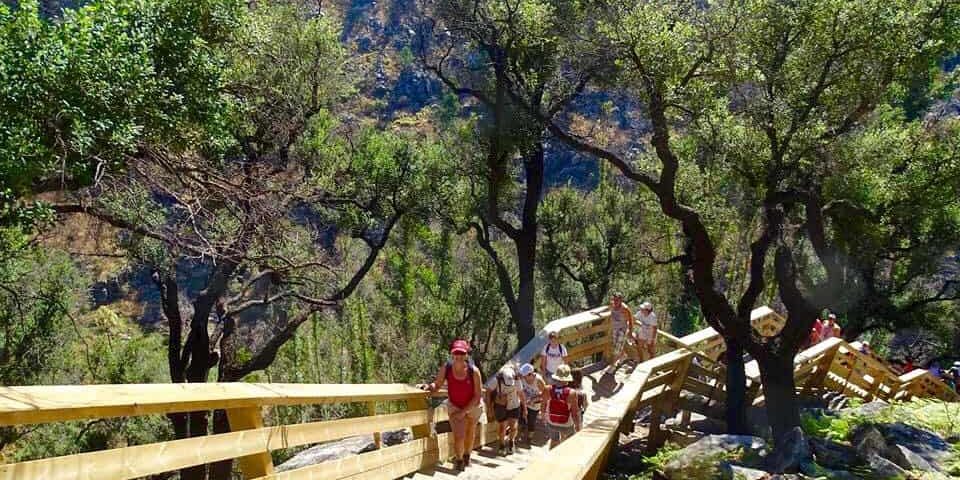Pasarelas de Paiva Las Pasarelas de Paiva son sin duda una visita obligada para todos los amantes de las nuevas experiencias. Es uno de los tesoros más recientes dentro del senderismo con casi 9 kilómetros entre puentes, caminos, cataratas, playas fluviales y escaleras que sorprenden a todo aquel que las visita.