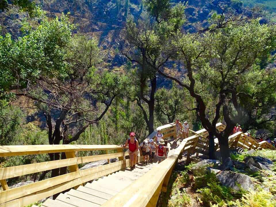 Pasarelas de Paiva Las Pasarelas de Paiva son sin duda una visita obligada para todos los amantes de las nuevas experiencias. Es uno de los tesoros más recientes dentro del senderismo con casi 9 kilómetros entre puentes, caminos, cataratas, playas fluviales y escaleras que sorprenden a todo aquel que las visita.