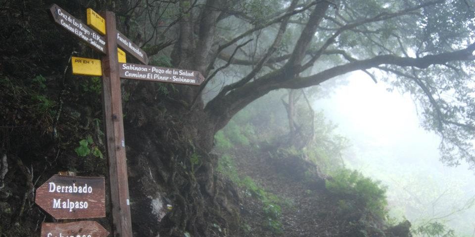 sendero malpaso – sabinosa El sendero Malpaso - Sabinosa nos llevará desde el punto más alto de la isla del Hierro hasta Sabinosa entre un frondoso bosque de laurisilva