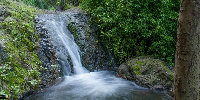 Este frondoso barranco transcurre entre los municipios de Firgas y Moya