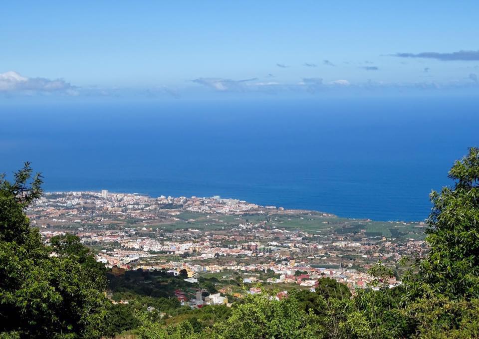 Senderos de castaños en Tenerife