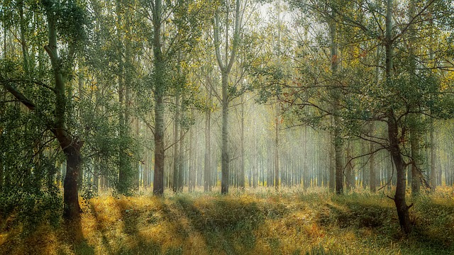 Cuidemos de la naturaleza Cuidemos de la naturaleza para el disfrute de las generaciones venideras