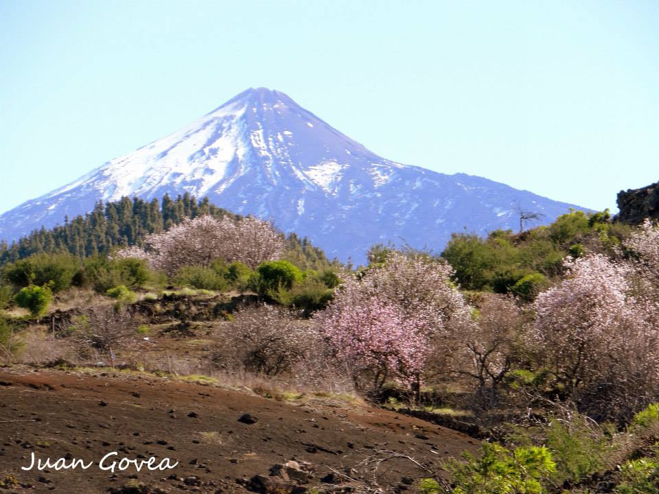 Almendros en Flor, rutas en Tenerife