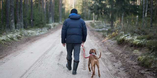El senderismo con perros afianza la relación entre dueño y mascota