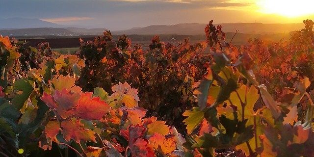 de Rioja a Somontano Viaje de Rioja a Somontano