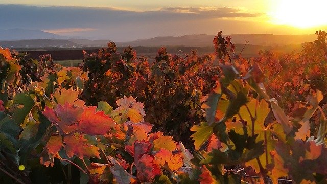 de Rioja a Somontano Viaje de Rioja a Somontano