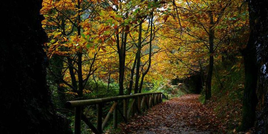 https://www.caminantesdeaguere.com/wp-content/uploads/2020/04/12920456_716305528472967_6736294068638208126_n_0-940x470.jpg