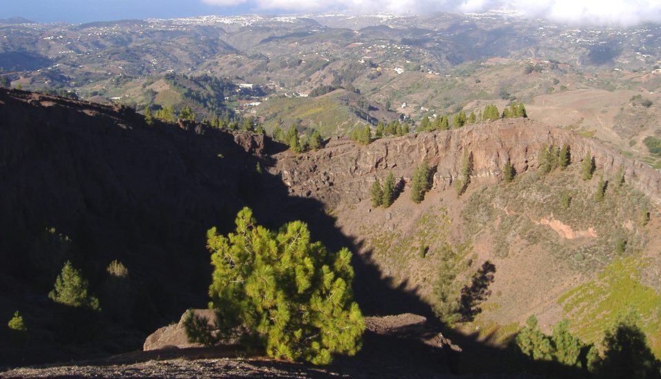 Ruta del Queso de Fontanales Ruta del Queso de Fontanales, Gran Canaria