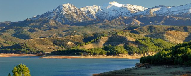 Parque Natural de las Sierras de Tejeda, Almijara y Alhama El Parque Natural de las Sierras de Tejeda, Alijara y Alhama se encuentran en la frontera natural de Málaga y Granada