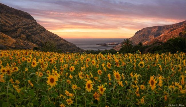 Gran Canaria y sus tesoros secretos Gran Canaria esconde increibles tesoros naturales