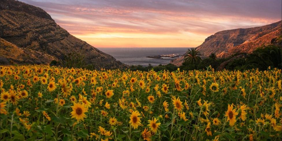 Gran Canaria esconde increibles tesoros naturales