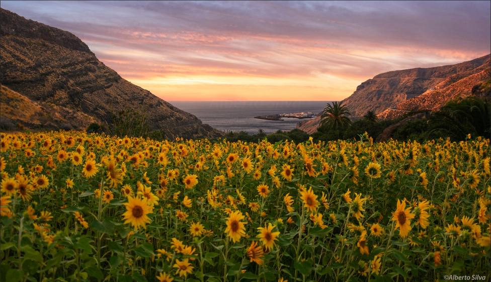 Gran Canaria esconde increibles tesoros naturales