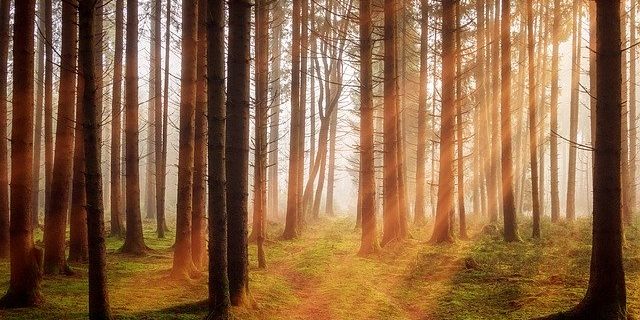 algunos de los beneficios que aporta el senderismo al alma