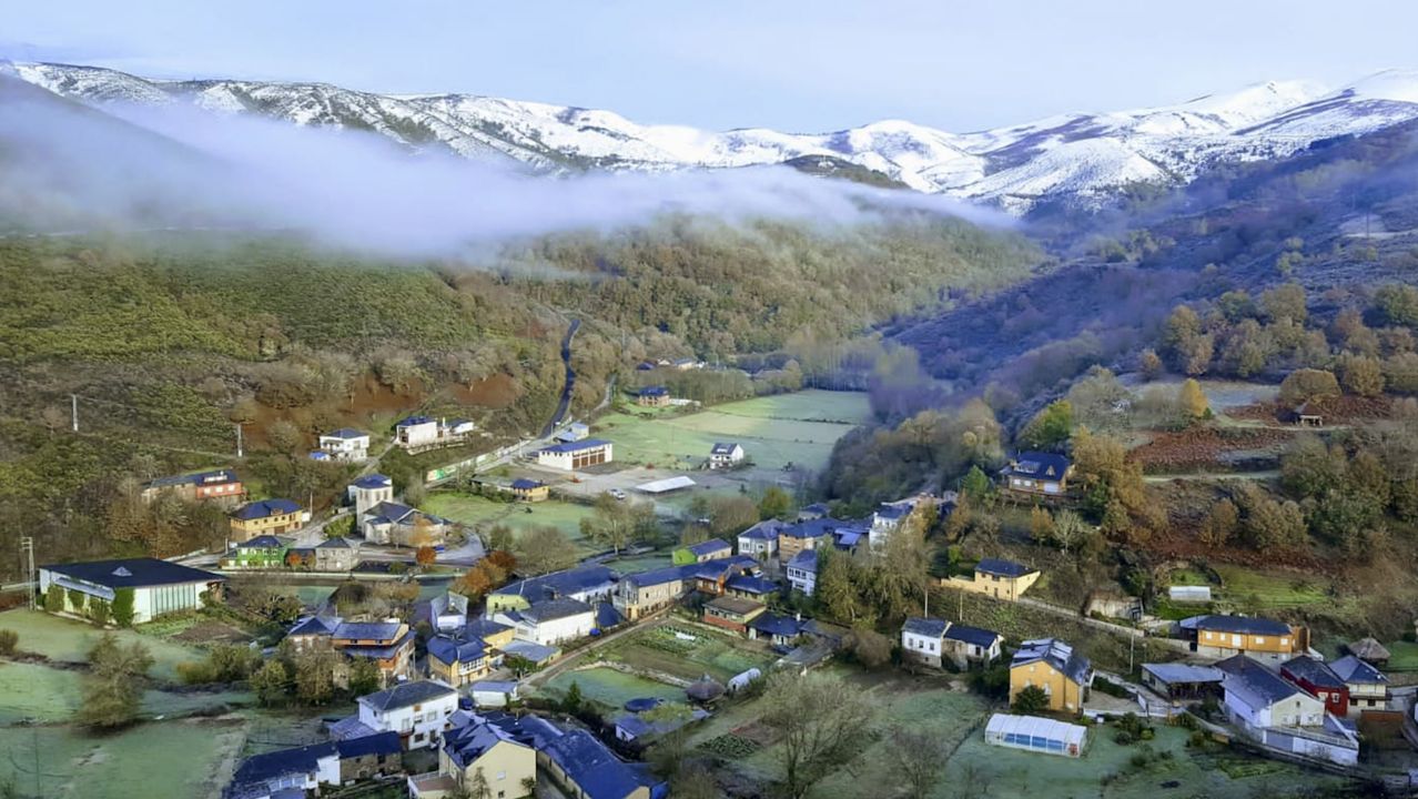 Arboles Tallados de El Bierzo la ruta por los árboles tallados de El Bierzo.