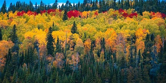 Los colores del otoño