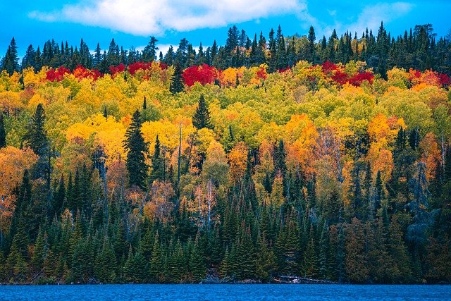 colores del otoño Los colores del otoño