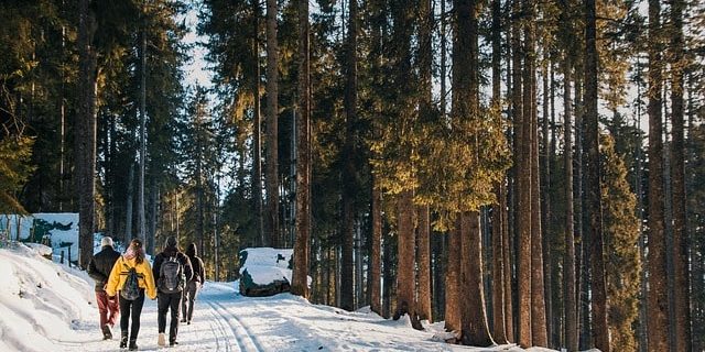 Senderismo en invierno Disfruta del senderismo en invierno