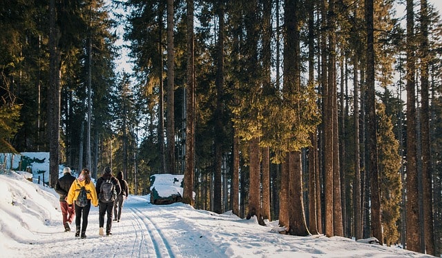 Senderismo en invierno Disfruta del senderismo en invierno