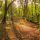 Bosques de Galicia, la magia de la naturaleza