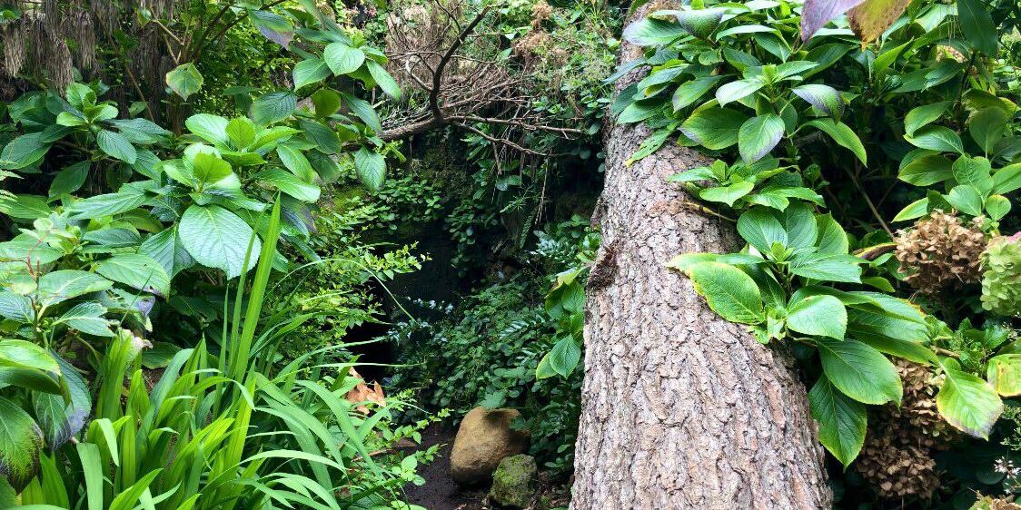 Fuente de Pedro La enigmática Fuente de Pedro