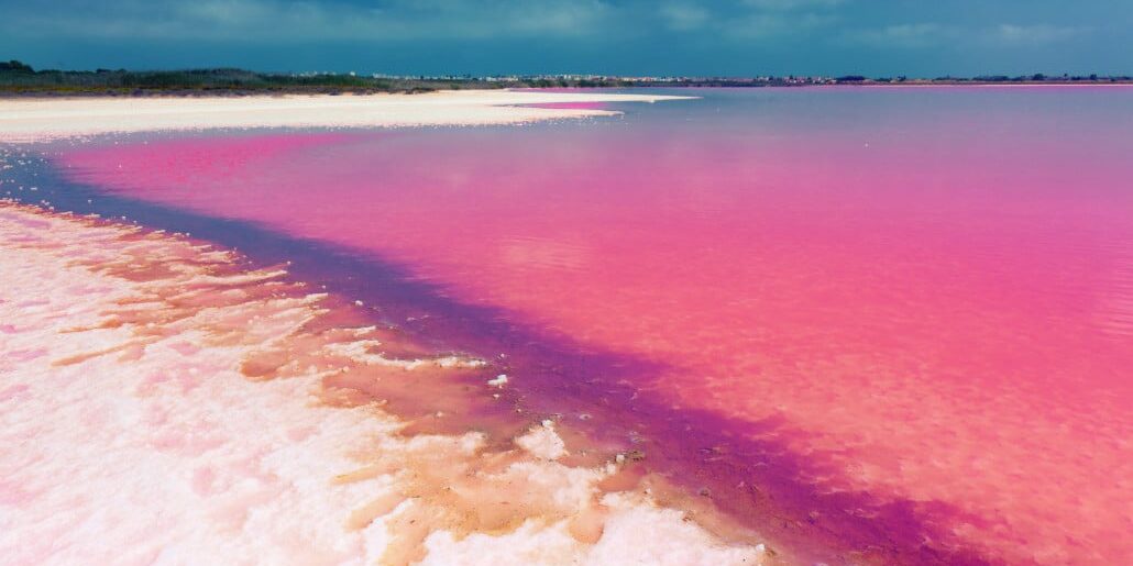 Laguna Rosa Ven con nosotros y descubre hermosos rincones naturales con nuestro Viaje a Levante y …. Laguna Rosa