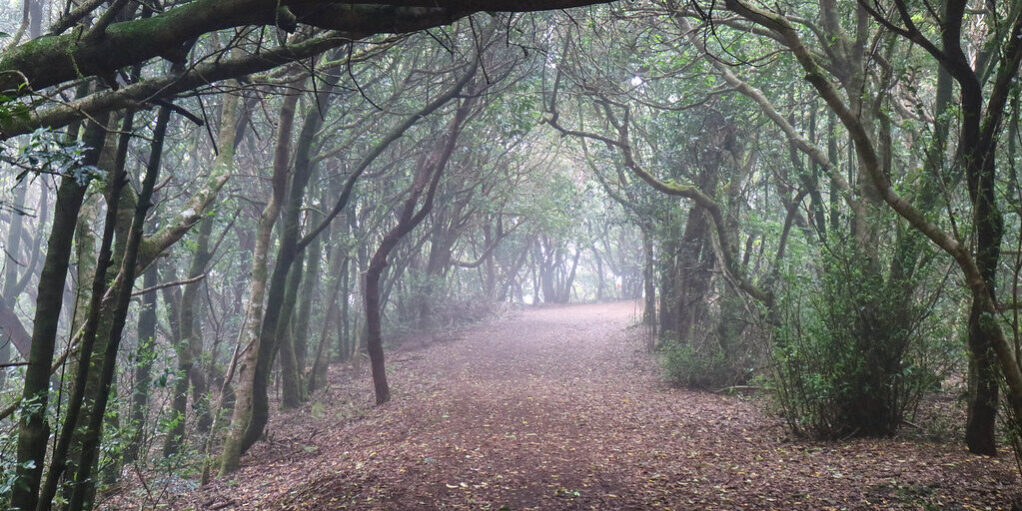 48330484717_aa57a321d5_b (1)