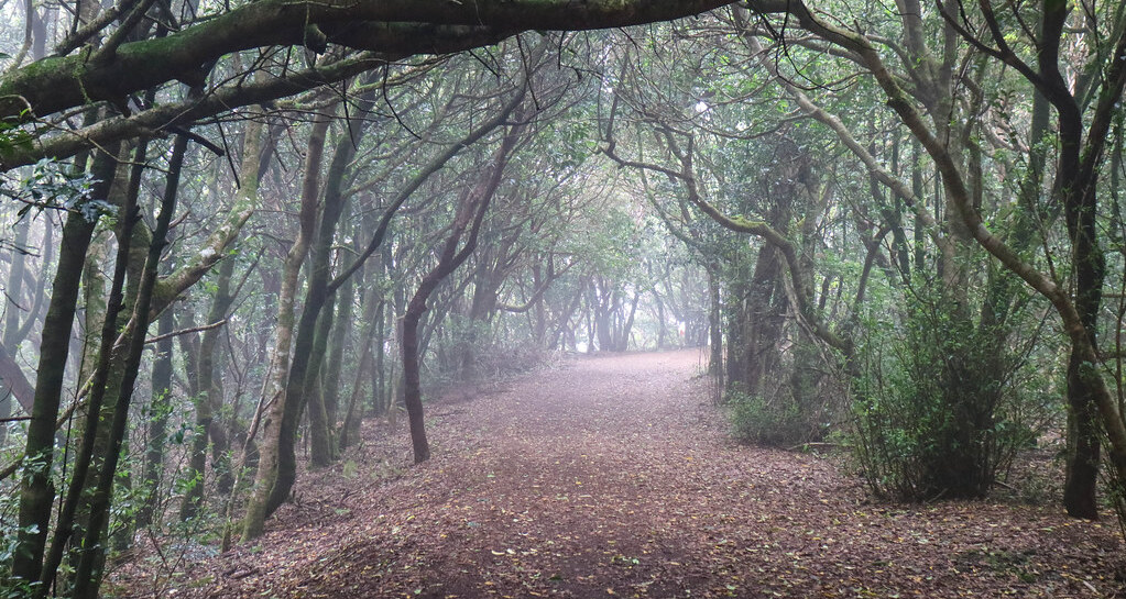 48330484717_aa57a321d5_b (1)