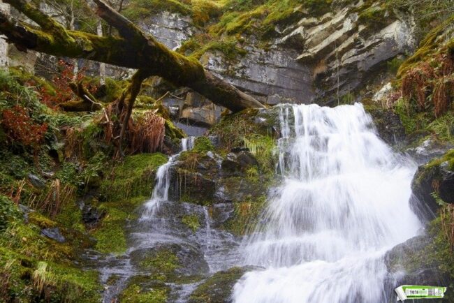 ruta de las Cascadas de Altuzarra La ruta de las Cascadas de Altuzarra nos lleva por un increíble hayedo y saltos de agua espectaculares